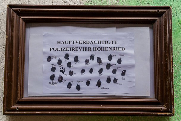 Thumbnail: JA 16228 Faschingswagen Landjugnend 01_03_2025.jpg